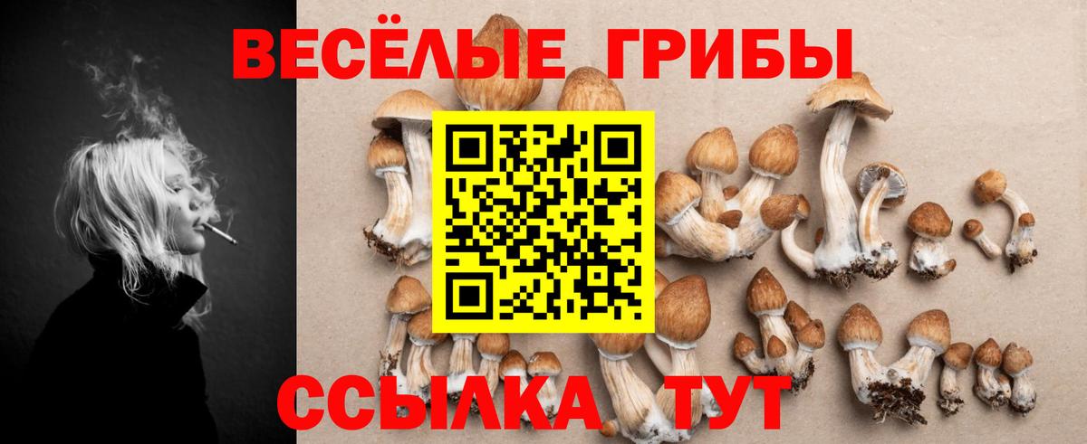 Галлюциногенные грибы мухоморы Кумертау